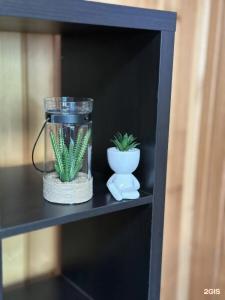 Силагор - 135
