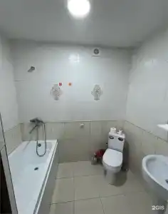 Березка - 164