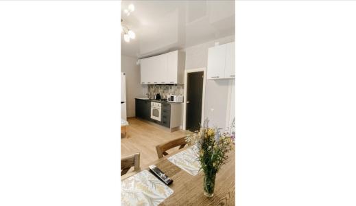 12 месяцев - 17