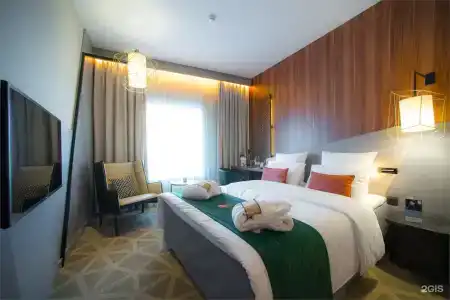 Mercure - 47