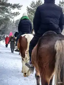 Дом дракона - 6