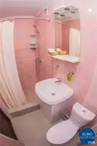 Астер - 148