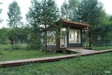 Лесной сон - 46