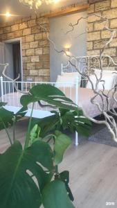 Вилла Лаванда - 64