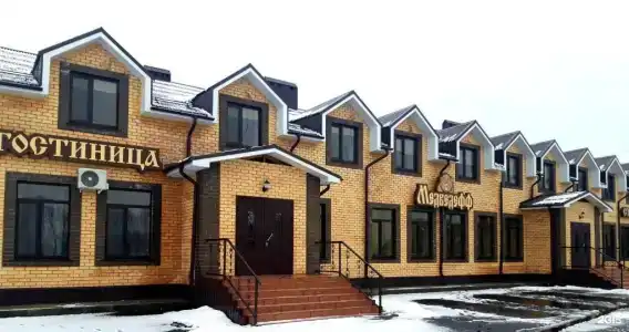 Медведефф на Пензу - 0
