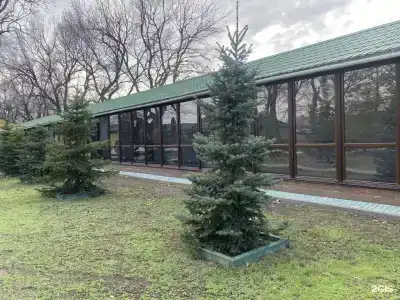 Олимпия - 89