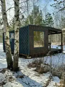 Клюква - 100