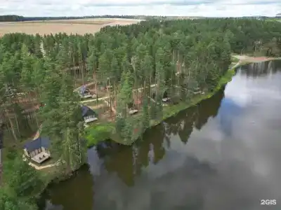 Пруды и сосны - 39