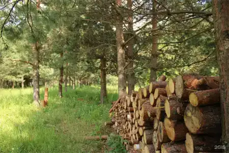 Круиз Вилладж - 110