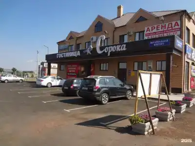 Сорока - 1