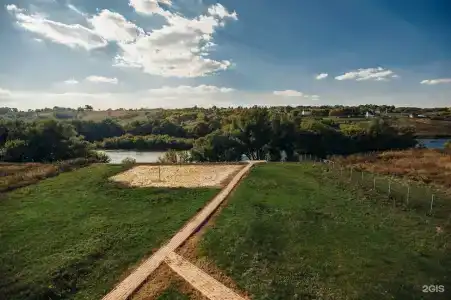 Мальвы - 119