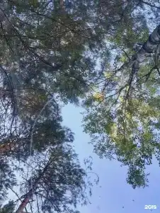 База отдыха на воде Оланга - 114