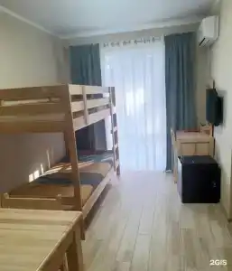 Pitsunda Cat - 50