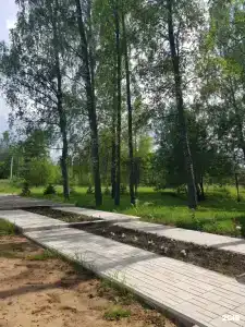 Березовая роща - 1