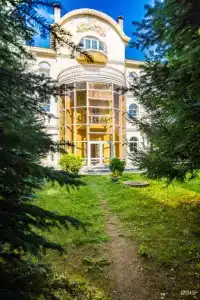 ВИП - 68