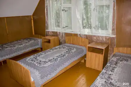 Сосновый бор - 45