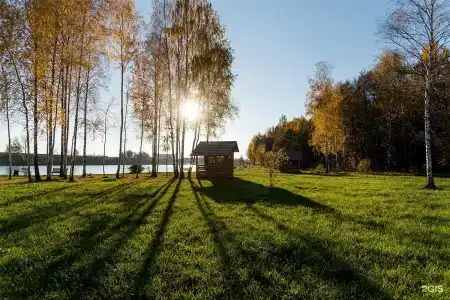 Золотые Караси - 7
