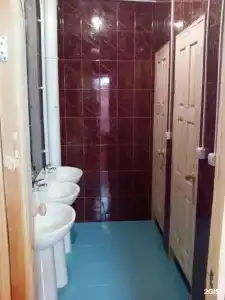Вежливый Лось на Ботаническом саду - 40