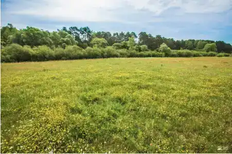 Славянка - 35