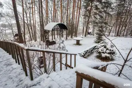 Донской лес - 14