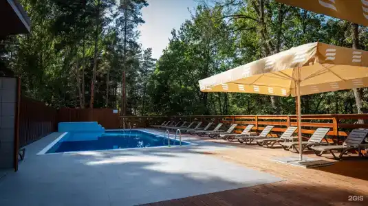 Донской лес - 3