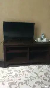 Фикус - 14