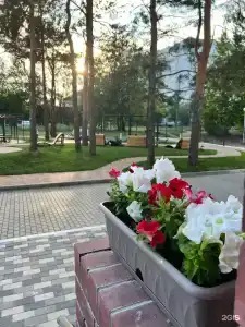 на 40 лет Победы 49Д - 31