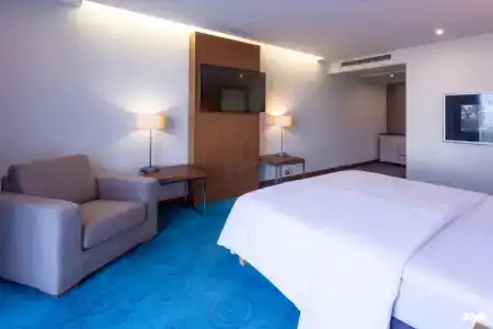 Radisson Blu Hotel - 32