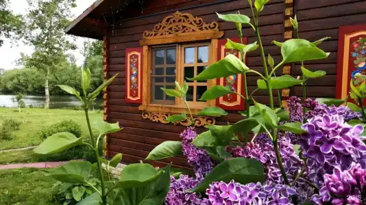 Дивный дворик - 171