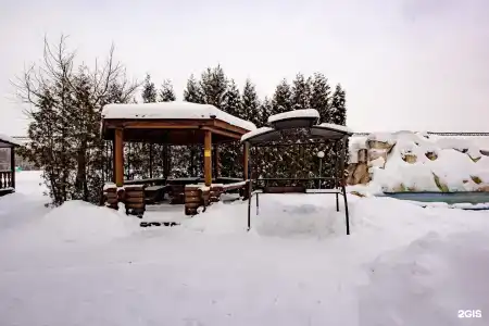 Чайка - 26