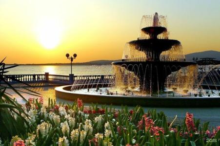 Роза - 159
