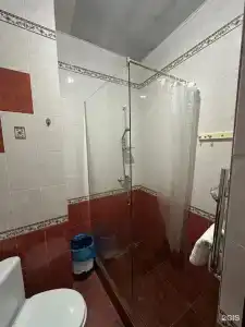 Николаевский - 9