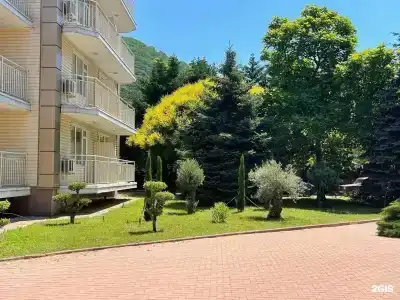 Ola resort - 2