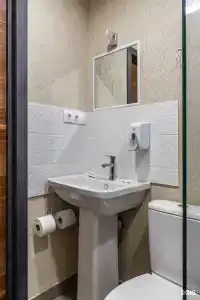 Светлый - 110
