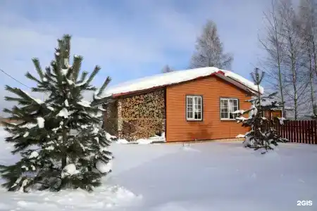 Дикий Гусь - 29