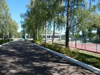 Яр - 113