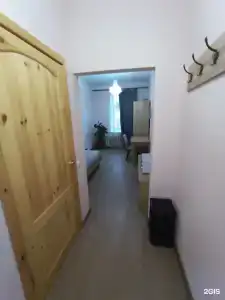 Эвкалипт - 40