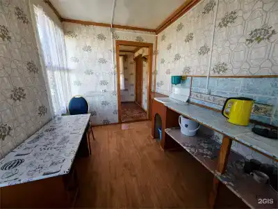 Соль - 100