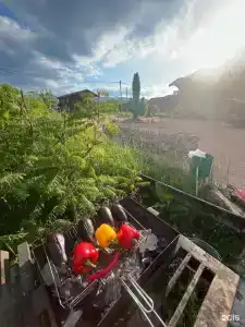 Ранчо - 19
