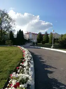 Вишневая поляна - 75