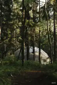 Villy Uley Karelia (Вили Улей Карелия) - 35