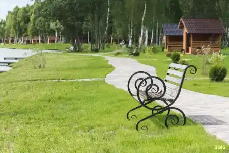 Золотые Караси - 11