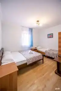 Киви и Цитрус - 86