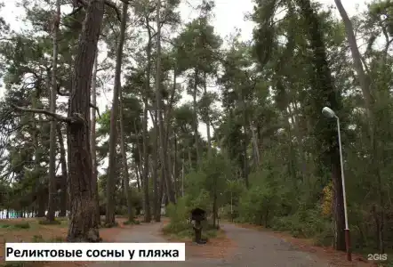 Фруктовый сад - 9