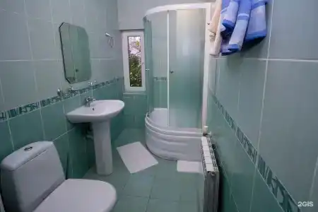 Аист - 111