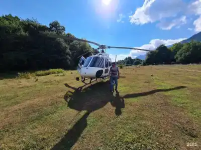 Груша - 36