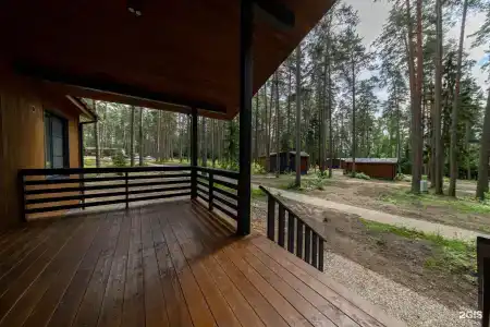 Тихий Лес - 26