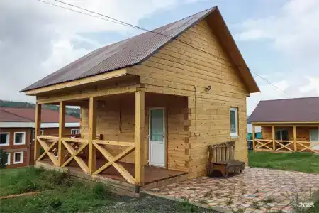 Золотой Кедр - 157