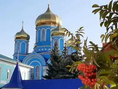 Теплый хутор - 82