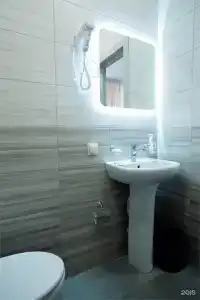 Снегири - 64
